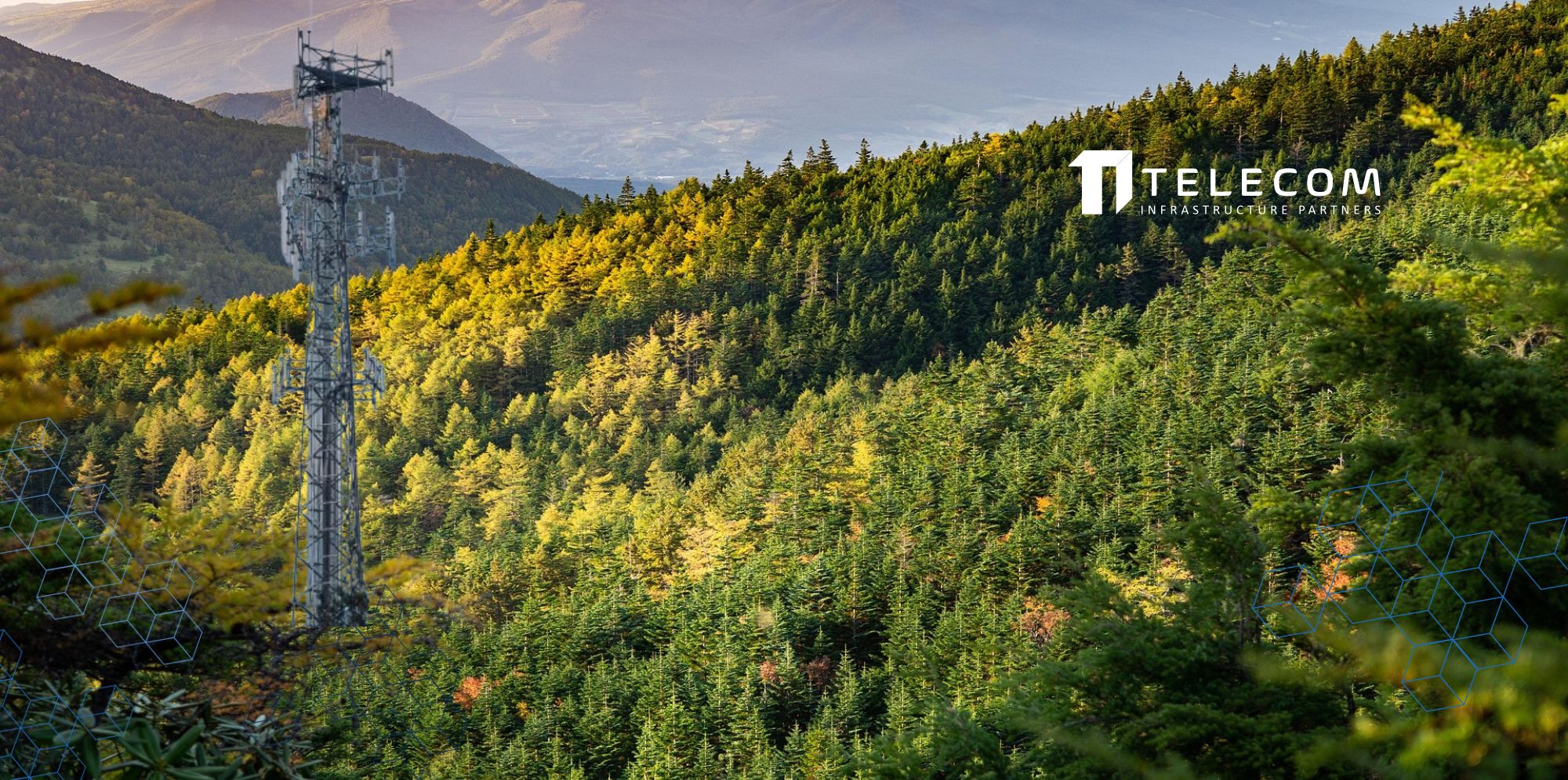 ESG at TIP: Elevating Our Standards in Environmental, Social, and Governance Practices